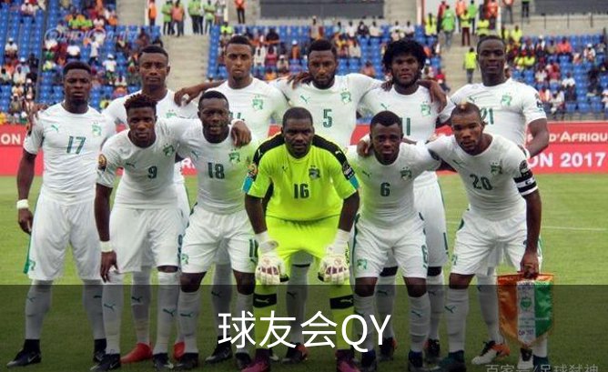 球友会QY介绍